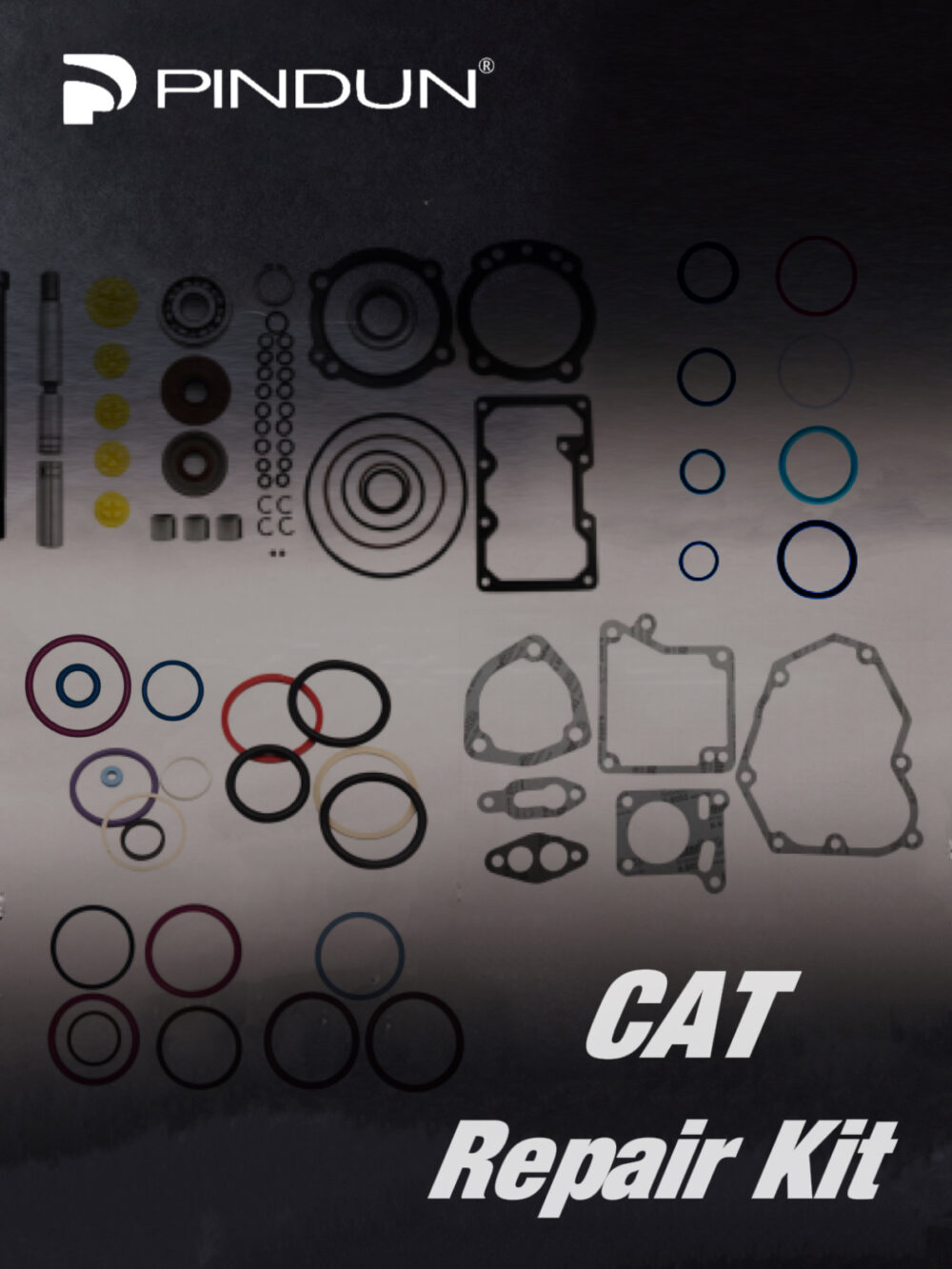 Various Repair Kit for Caterpillar injector