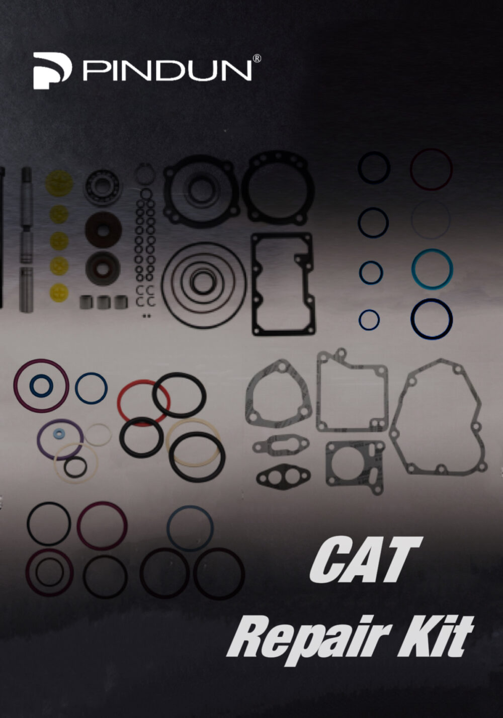 Various Repair Kit for Caterpillar injector