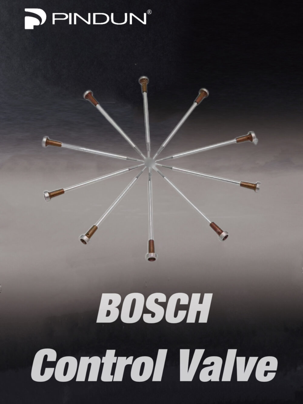 Various Control Valves for BOSCH Injector