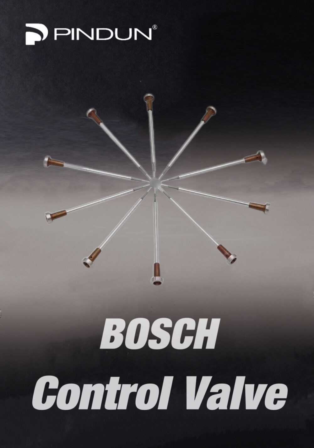 IMG_7242.jpg Various Control Valves for BOSCH Injector
